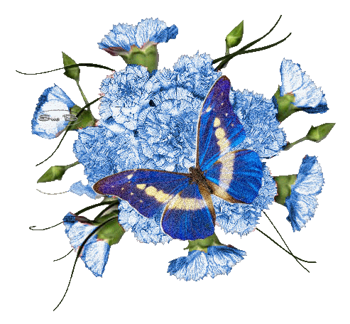 синяя бабочка